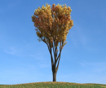 Modern Tree/shrub/grass-ID:189950646