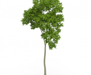 Modern Tree/shrub/grass-ID:591121889