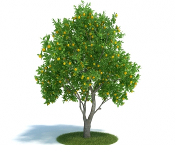 Modern Tree/shrub/grass-ID:704335176
