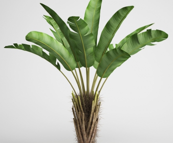 Modern Potted Green Plant-ID:371205242