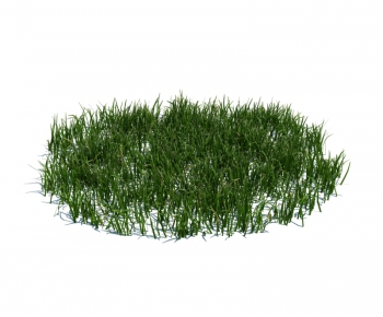 Modern Tree/shrub/grass-ID:994895521