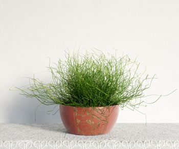 Modern Potted Green Plant-ID:575723256