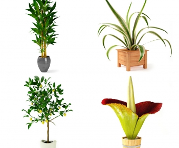 Modern Potted Green Plant-ID:327863431