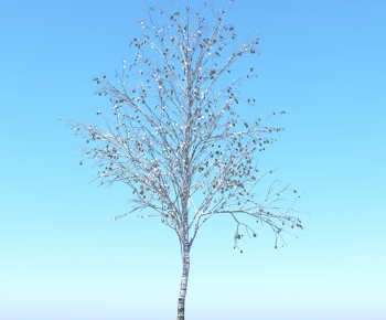 Modern Tree-ID:334623534