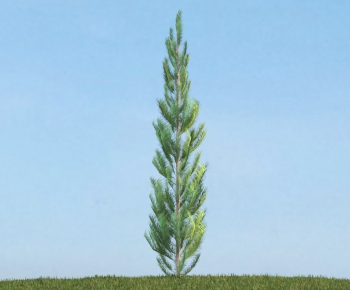 Modern Tree/shrub/grass-ID:896261996