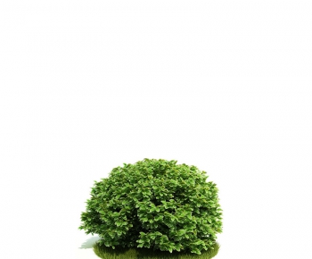 Modern Tree/shrub/grass-ID:393288619