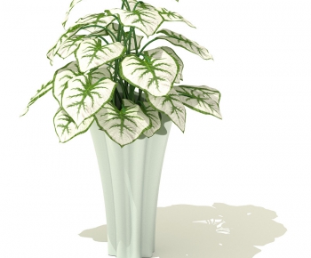 Modern Potted Green Plant-ID:397248325