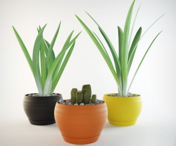 Modern Potted Green Plant-ID:307214868