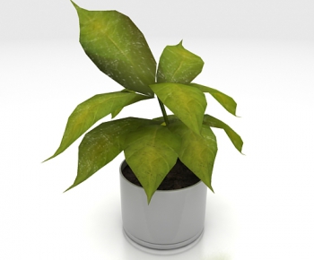 Modern Potted Green Plant-ID:108724919