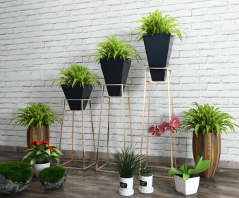 Modern Potted Green Plant-ID:579078886