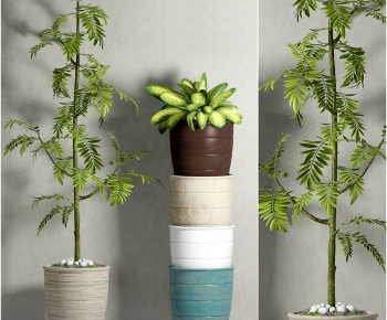 Modern Potted Green Plant-ID:261985758