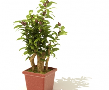 Modern Potted Green Plant-ID:408942917
