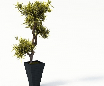 Modern Potted Green Plant-ID:678487359