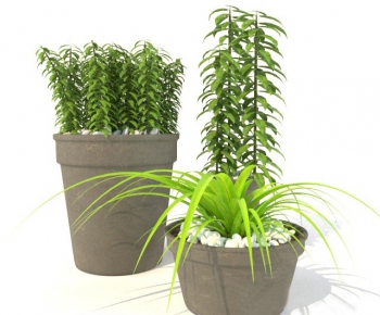 Modern Potted Green Plant-ID:278890614