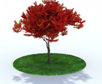 Modern Tree/shrub/grass-ID:366882243