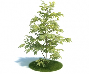 Modern Tree/shrub/grass-ID:736006663