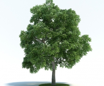 Modern Tree/shrub/grass-ID:700323384