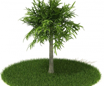 Modern Tree/shrub/grass-ID:925043871