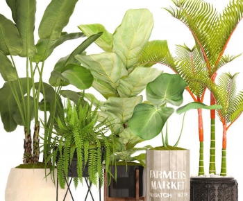 Modern Nordic Style Potted Green Plant-ID:898274622