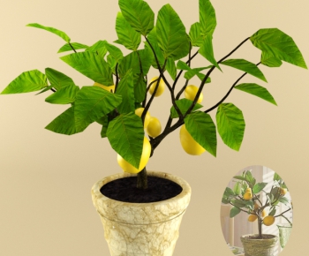 Modern Potted Green Plant-ID:330568222