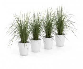 Modern Potted Green Plant-ID:191479774