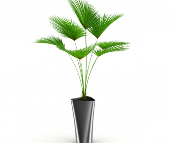 Modern Potted Green Plant-ID:456968411