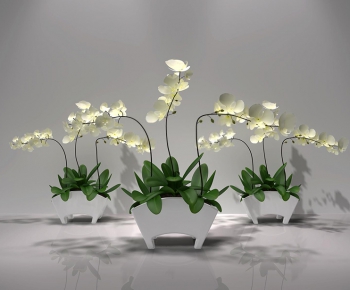 Modern New Chinese Style Flowers-ID:499212733
