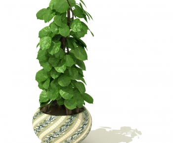 Modern Potted Green Plant-ID:538300719