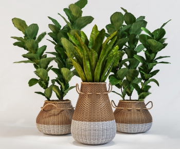 Modern Potted Green Plant-ID:226463413