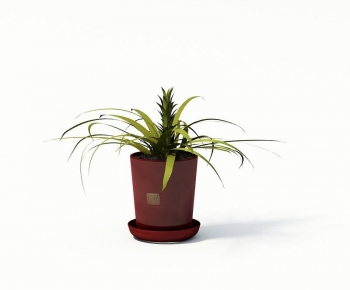 Modern Potted Green Plant-ID:557908962