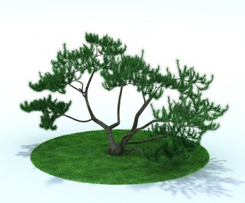 Modern Tree/shrub/grass-ID:434011958