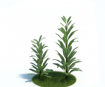 Modern Tree/shrub/grass-ID:591622633