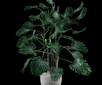 Modern Potted Green Plant-ID:597465914