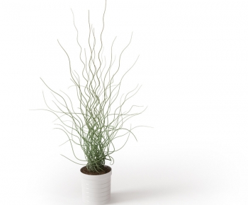 Modern Potted Green Plant-ID:398881945