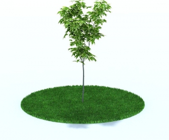 Modern Tree/shrub/grass-ID:537955525