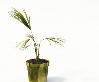 Modern Potted Green Plant-ID:726840951