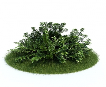 Modern Tree/shrub/grass-ID:587889474