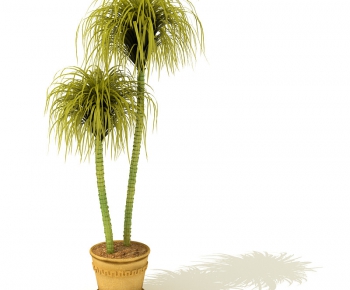 Modern Potted Green Plant-ID:466720912