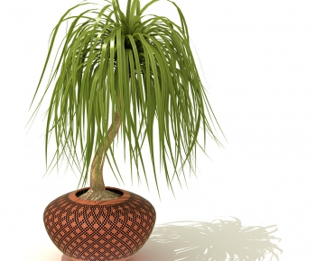 Modern Potted Green Plant-ID:656464453