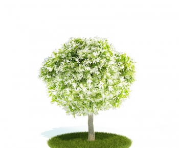 Modern Tree/shrub/grass-ID:570129538