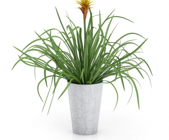 Modern Potted Green Plant-ID:182208383