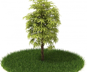 Modern Tree/shrub/grass-ID:695651887