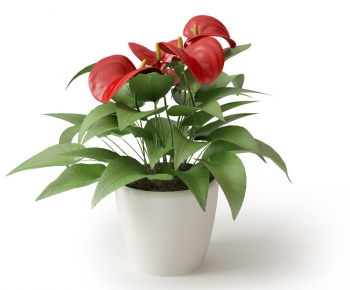 Modern Potted Green Plant-ID:595241689
