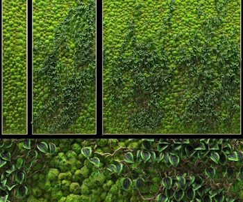 Modern Plant Wall-ID:491252319