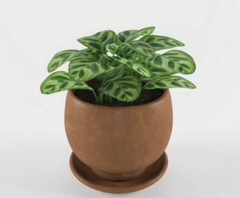 Modern Potted Green Plant-ID:462170582