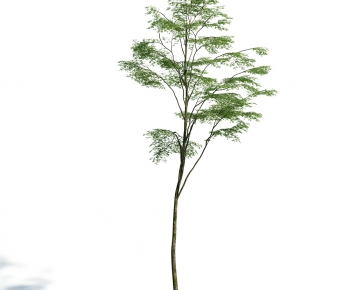 Modern Tree/shrub/grass-ID:844995793