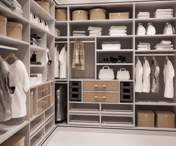 Modern Clothes Storage Area-ID:785258662