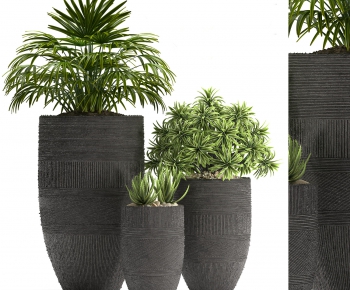 Modern Potted Green Plant-ID:791485832