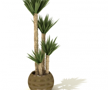 Modern Potted Green Plant-ID:377837524