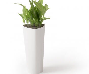 Modern Potted Green Plant-ID:395097751